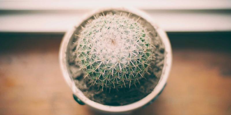 800V高压平台车型大盘点:充电10分钟续航400公里,哪些新车和二手准新车值得等?