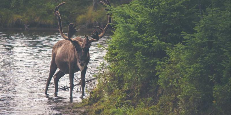 二手车避坑全攻略：3招识破事故车、泡水车与调表车陷阱