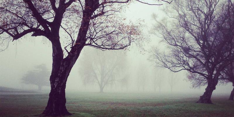 从新车报价到二手车选购,再到汽车保养:一站式汽车消费全攻略