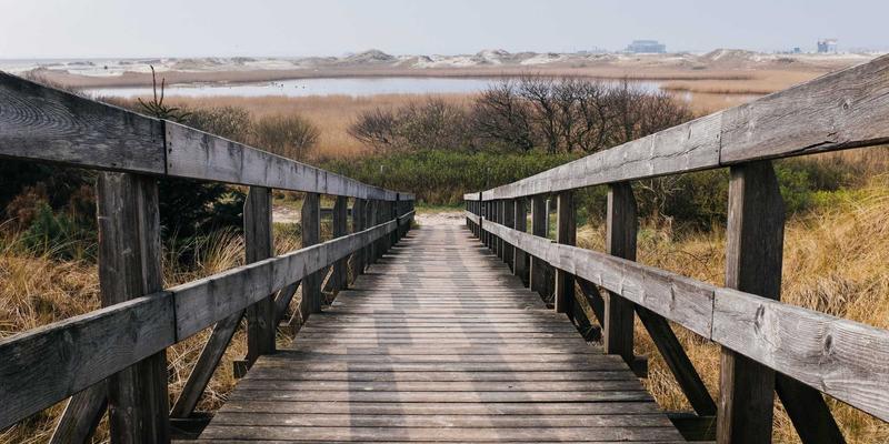 固态电池量产前夜:技术瓶颈、车企布局与对当前电动车市场的冲击分析