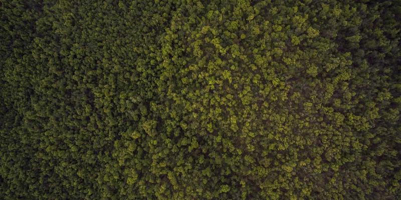 城市通勤神器对决：五菱缤果、比亚迪海鸥、长安Lumin，谁是最佳二手代步车？